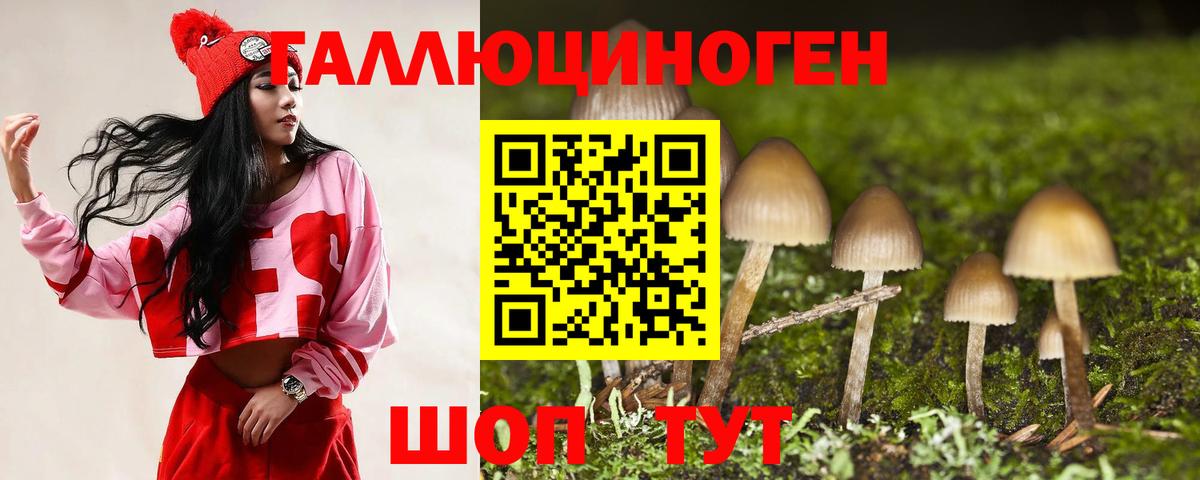 Галлюциногенные грибы прущие грибы Астрахань